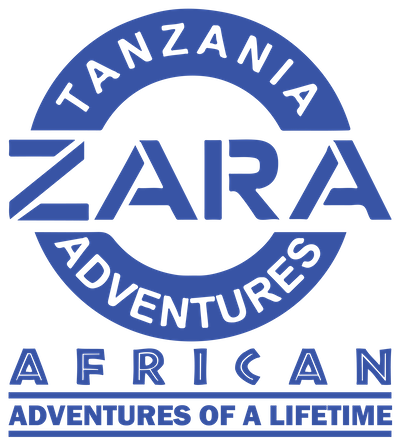 Zara Tours Logo