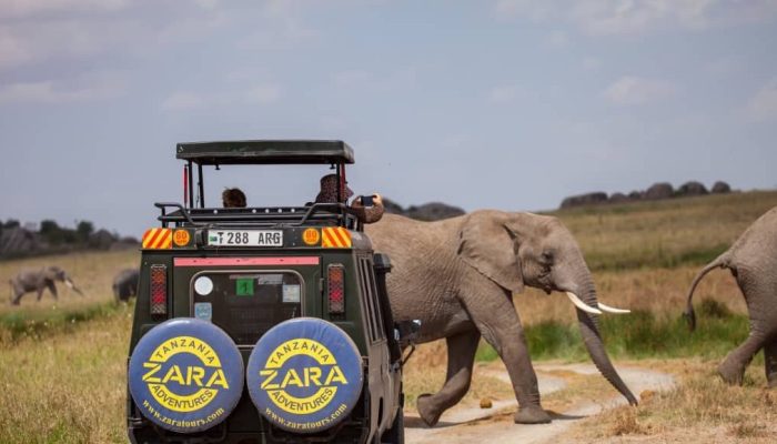Tanzania safari holidays