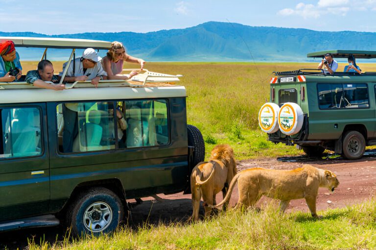 7 Family-Friendly Adventures for the Perfect Tanzania Safari