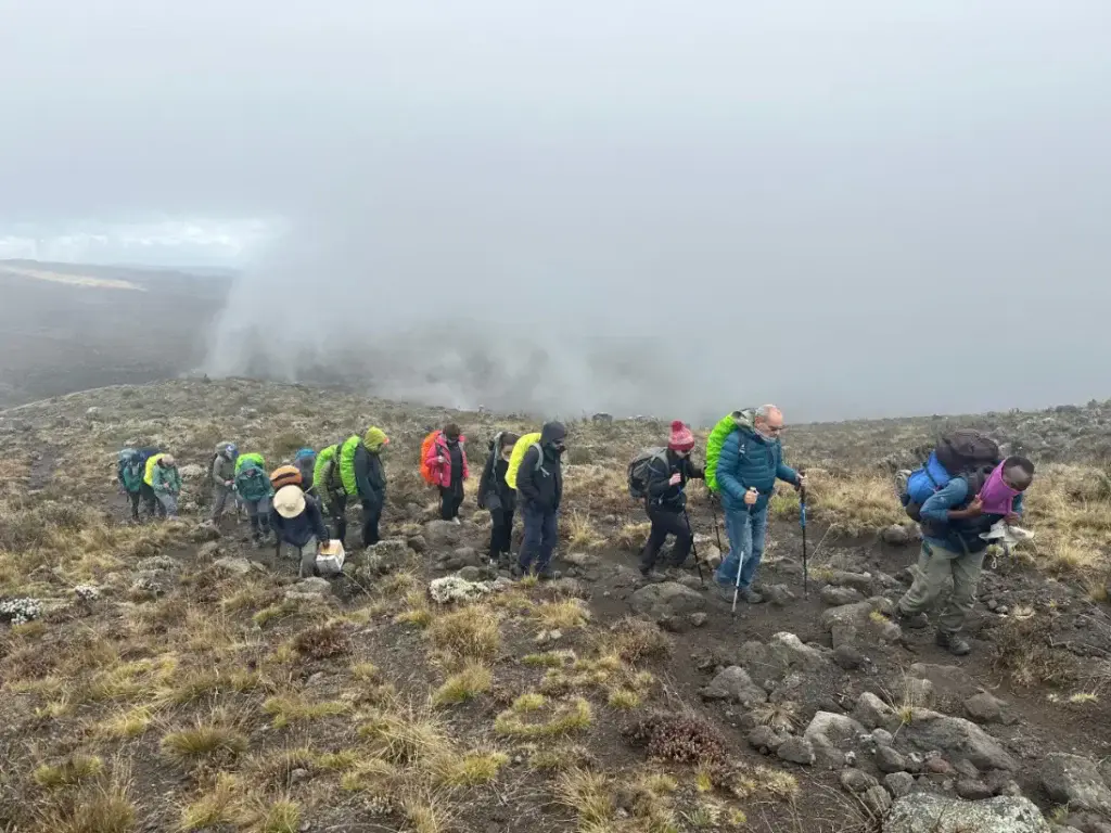 A group of trekkers hiking through the misty high-altitude terrain of Mount Kilimanjaro, guided by local experts from Zara Tanzania Adventures.