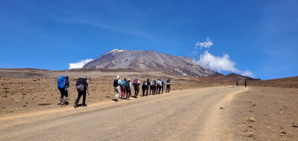 Trekkers hiking towards Mount Kilimanjaro under a clear blue sky, with the mountain’s snow-capped summit visible in the distance, showcasing the gradual ascent to Africa’s highest peak.