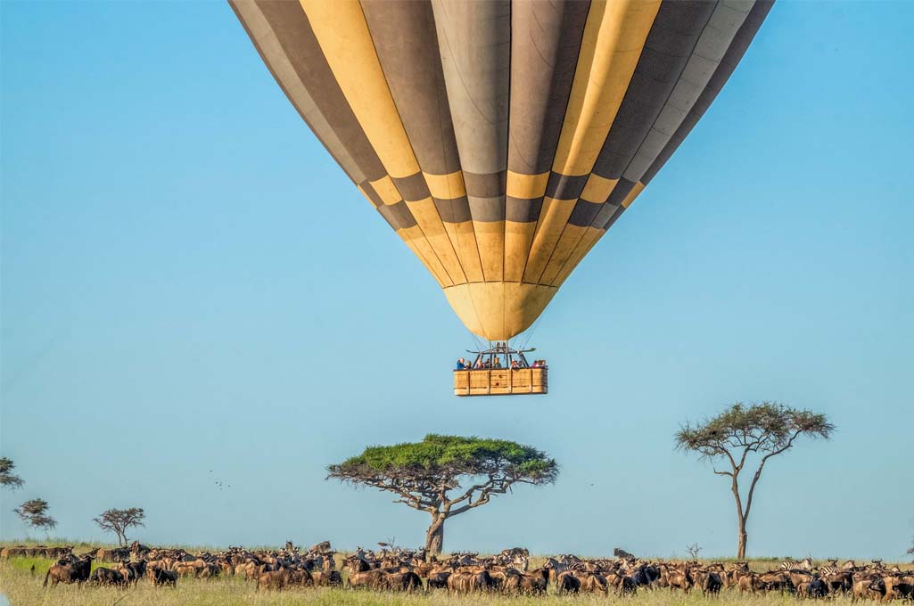 A hot air balloon flying over herds of wildebeest and zebras on the Serengeti plains during the Great Migration.