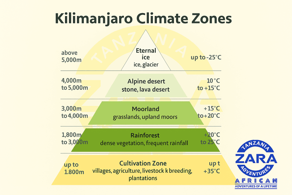 Kilimanjaro Climate Zones infographic showing the five elevation-based zones, Cultivation Zone, Rainforest, Moorland, Alpine Desert, and Eternal Ice, with temperature ranges.