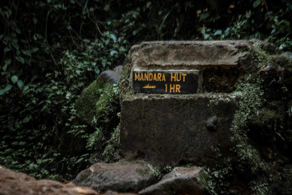 Stone trail marker on the Marangu Route indicating Mandara Hut is one hour away, surrounded by dense montane forest.