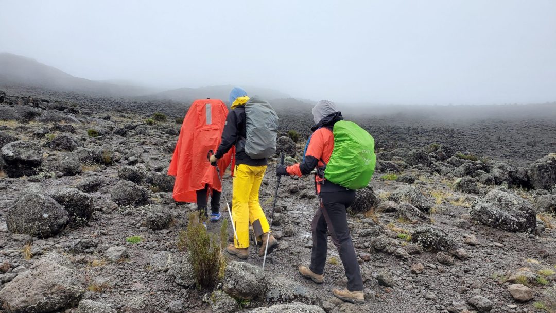 Hikers ascending Mount Kilimanjaro in misty high-altitude terrain, illustrating the challenging conditions where altitude sickness commonly occurs.