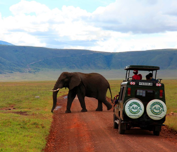 Best of Ngorongoro, Tarangire and Lake Manyara Safari1