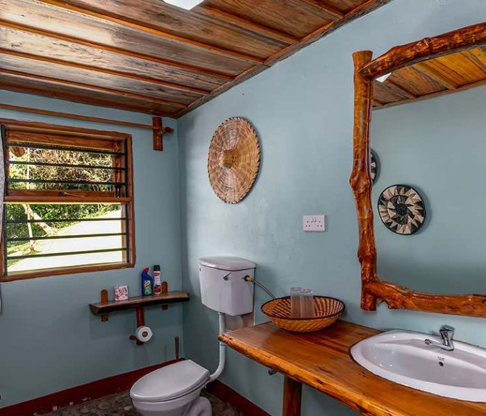 Chimpanzee Forest Lodge3