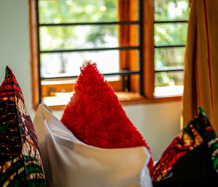 Chimpanzee Forest Lodge5