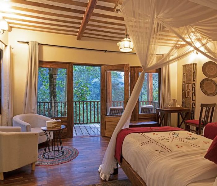 Four Gorillas Lodge1