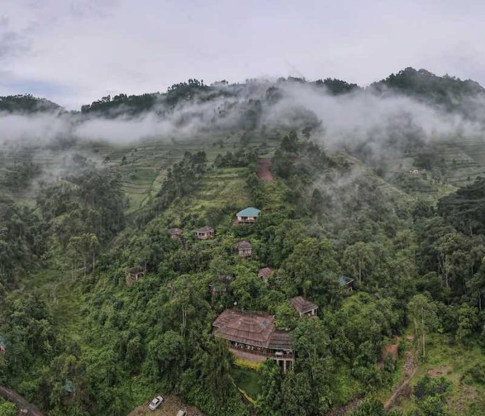 Four Gorillas Lodge2