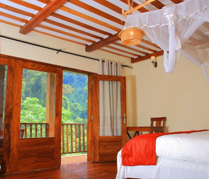 Four Gorillas Lodge4