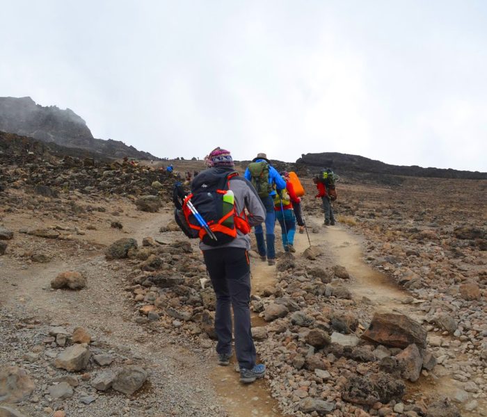 Kilimanjaro Londorosi Route1