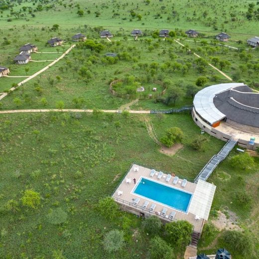Serengeti Safari Lodge2