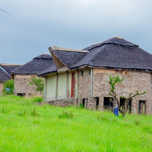 Serengeti Safari Lodge3