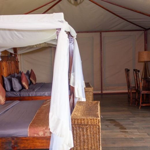 Serengeti Safari Lodge4