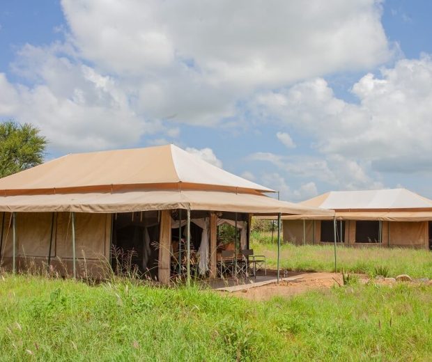 Serengeti Wild Camp