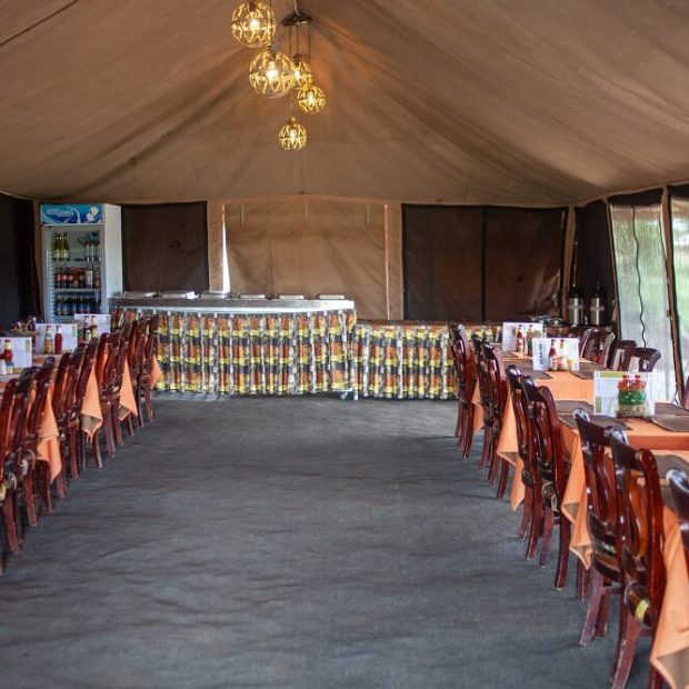 Serengeti Wildebeest Camp