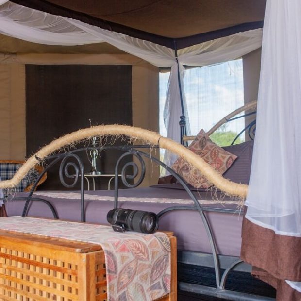 Serengeti Wildebeest Camp3