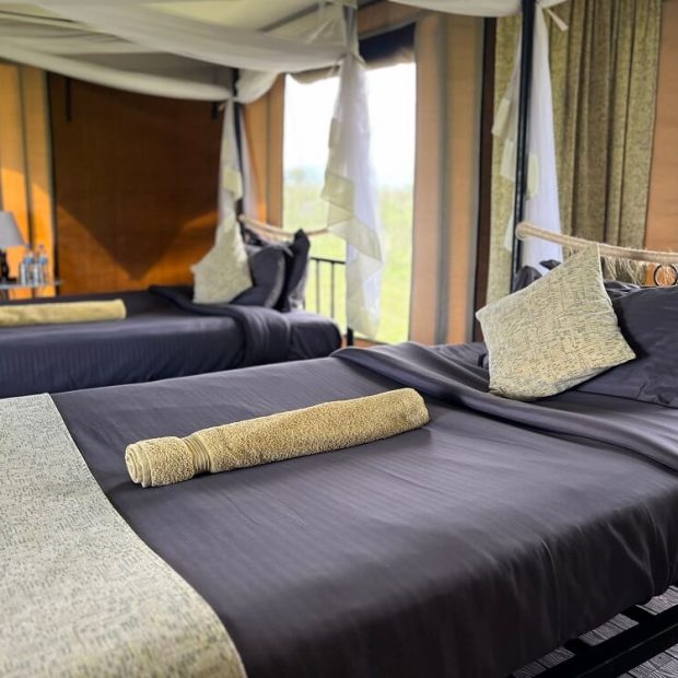 Serengeti Wildebeest Camp4