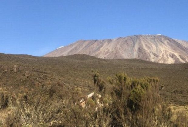 image3-min-e1684861153617-768x341