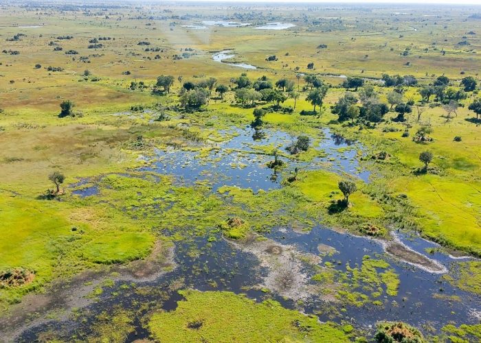 okavango delta